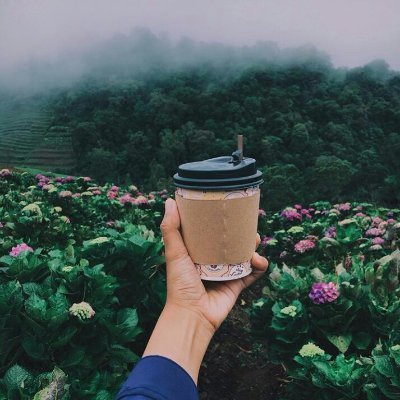 palmxugarr's profile picture. 