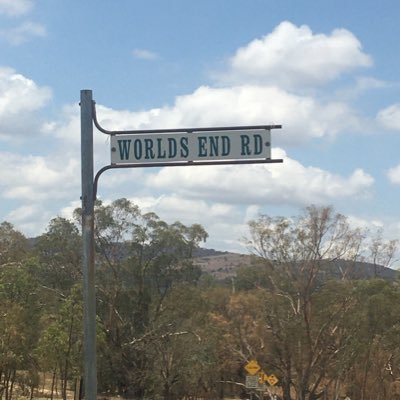 itrees1's profile picture. Hi