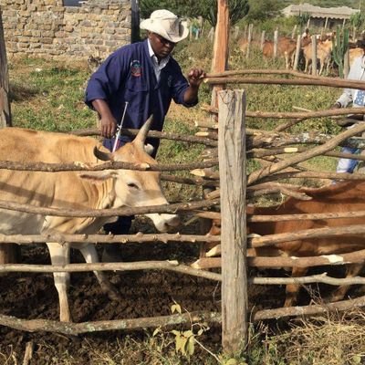 A consortium of like-minded partners keen on promoting health and safeguarding livelihoods of Maasai Mara community, Narok, Kenya