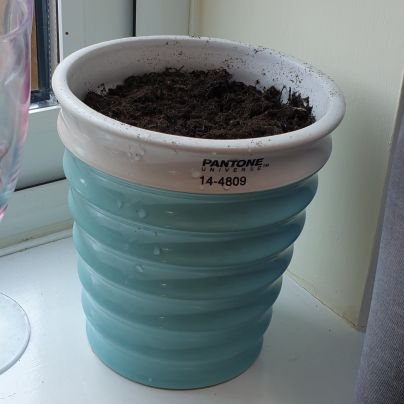 MousieKY7's profile picture. Kentish attitude living in the South West