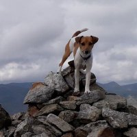 Dog Friendly Yorkshire Cottage(@CottageFriendly) 's Twitter Profile Photo