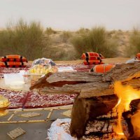 الواثـق🇶🇦 (@_80088) 's Twitter Profile