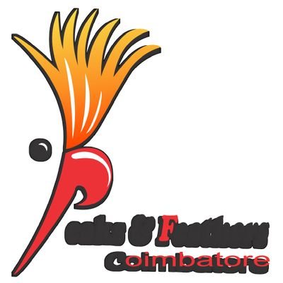 Exotic birds breeder in coimbatore, started 10 yrs ago with love and passion for birds .We have made a long journey with several ups and downs but nothing