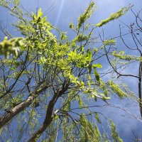 Nour (@nouralzaatari) 's Twitter Profile