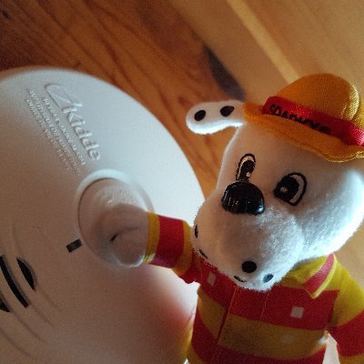 Passion for Fire Prevention, Public Education, Outreach and Advocacy | Fire Protection Engineering Technology Graduate | Seeking New Opportunities