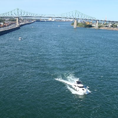 fopifop's profile picture. Montreal-Canada🇨🇦