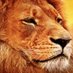 e-playafrica (@eplayafrica) Twitter profile photo e-playafrica (@eplayafrica) Twitter profile photo