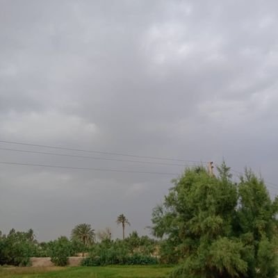 Muhamma34540140's profile picture. 