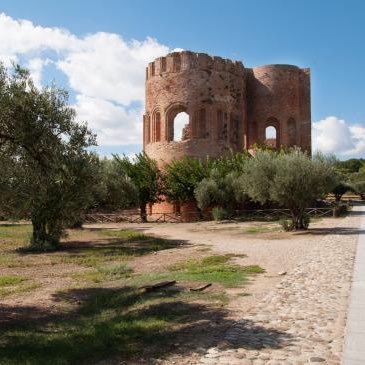 Account ufficiale del Museo e parco archeologico nazionale di Scolacium