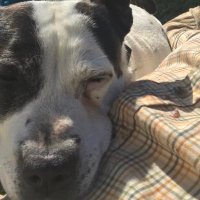 William (@william73618903) 's Twitter Profile