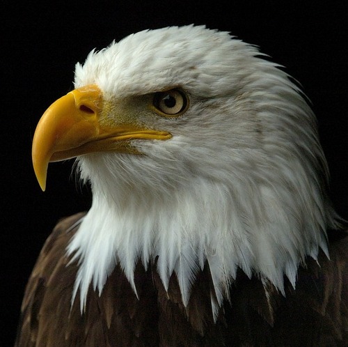 sharpskysong's profile picture. 음악에 흠뻑젖어...