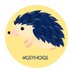 The Guernsey Hedgehog Project (@guernseyhogs) Twitter profile photo The Guernsey Hedgehog Project (@guernseyhogs) Twitter profile photo