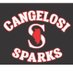 Cangelosi Sparks North (@sparks_north) Twitter profile photo Cangelosi Sparks North (@sparks_north) Twitter profile photo