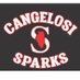 Cangelosi Sparks North (@Sparks_North) Twitter profile photo