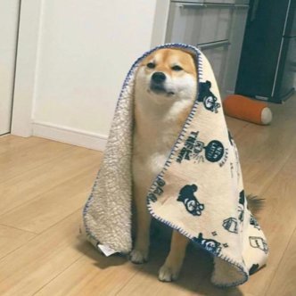 evanmac7's profile picture. 