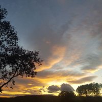Luis Rey (@luisreynavarro) 's Twitter Profile