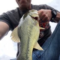 bryan (@btruman2003) 's Twitter Profile