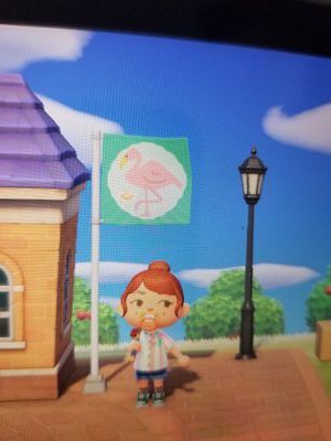 Animal Crossing account for the town of Flan Mingo
