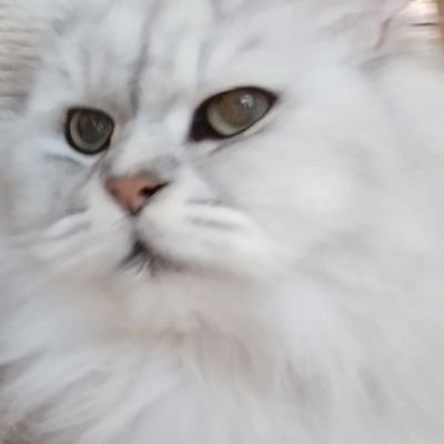 Lemonさんのプロフィール画像