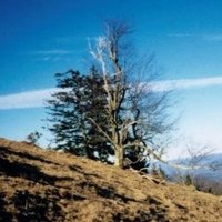 BourgeoisViews (@bourgeoisviews) 's Twitter Profile