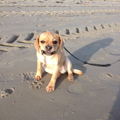 HK451945's profile picture. 