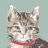 ねこちゃんのアイコン