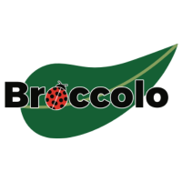 BroccoloLadyB (@broccololadyb) 's Twitter Profile