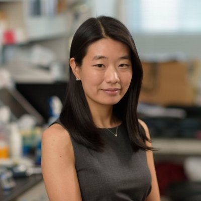 kihyunlee_phd's profile picture. Genome Engineer, Stem Cell Scientist @dsrivastava_md @GladstoneInst @UCSF | PhD @DanweiHuangfu @MSKCC @WeillCornell