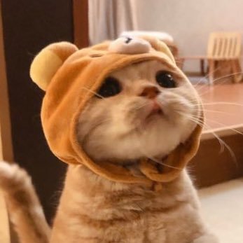 Danbiさんのプロフィール画像