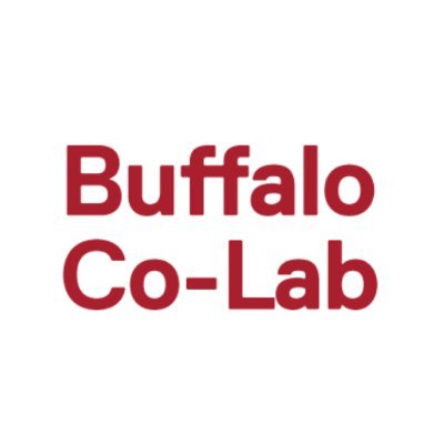 Cornell ILR Buffalo Co-Lab Profile