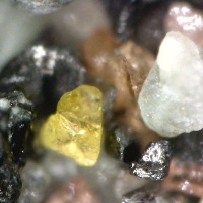 gmoanab's profile picture. Nō Te Rohe a Pōtae me Hauraki (Ngāti Maniapoto, Ngāti Pū, Pare Hauraki, Ngāi Te Rangi). Microbiologist, ex Immunologist and mahinga kai-ologist.