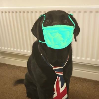 GrumpyOldLab Profile Picture