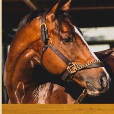 Equine Law updates from Julie Fershtman, leading Equine Lawyer & tireless client advocate. Trials in 4 states, 29-state speaker, author, partner @Foster_Swift