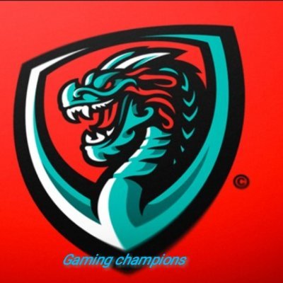 Progamer2531's profile picture. 