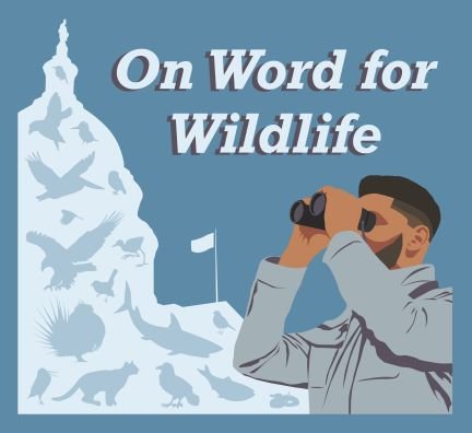 Political interviews and discussions on wildlife conservation | @wildonetwork | Hosted by @Tykee_James | https://t.co/09ntqMNTWn