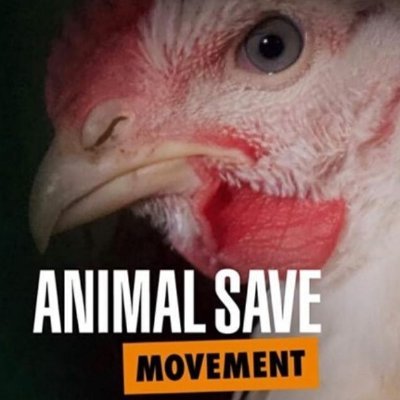 Animal Save Movement USA