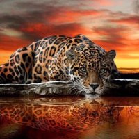 Nilufer Onursal (@onursal_nilufer) 's Twitter Profile Photo Nilufer Onursal (@onursal_nilufer) 's Twitter Profile Photo