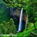Kapchorwa District Local Government (@kapchorwadlg) Twitter profile photo Kapchorwa District Local Government (@kapchorwadlg) Twitter profile photo