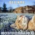 Kilos Noventa (@kilos90) Twitter profile photo Kilos Noventa (@kilos90) Twitter profile photo