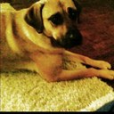 Lucy Hensley - @LucyHensley - Twitter