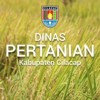 Akun resmi Dinas Pertanian Kabupaten Cilacap // IG: dispertanclp // FB: Dispertan Clp