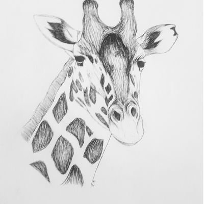 Artist🖌 | Nature lover ⛰| 22years old 👧
Instagram - @ drawingsbysharky