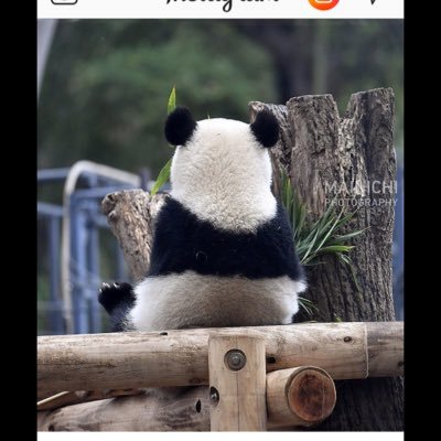 V1zfUKLhrMMGQmN's profile picture. 