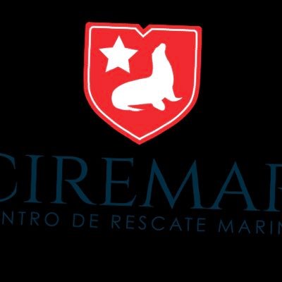 Centro de rescate de animales marinos adm por municipio iquiqueño y voluntarios