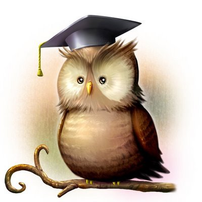 sabioconselho's profile picture. Na multidão de conselhos há sabedoria. Provérbios 24:6.