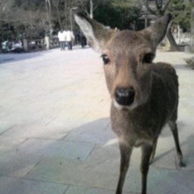 tontonさんのプロフィール画像