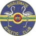 Biggleswade AC (@BiggleswadeAC) Twitter profile photo