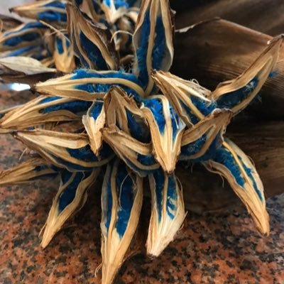 Rust2Tomo's profile picture. 手づくりなら何でも、トライしてみたい！