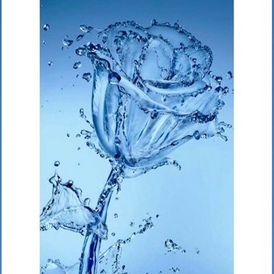 MissInToronto's profile picture. ✌️🇨🇦