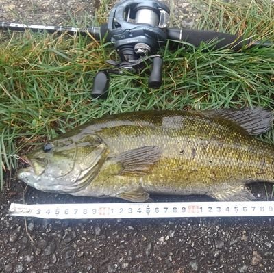 春～秋はバス釣り
秋はエギング
冬はグレかテトラで穴釣り

よろしくデース